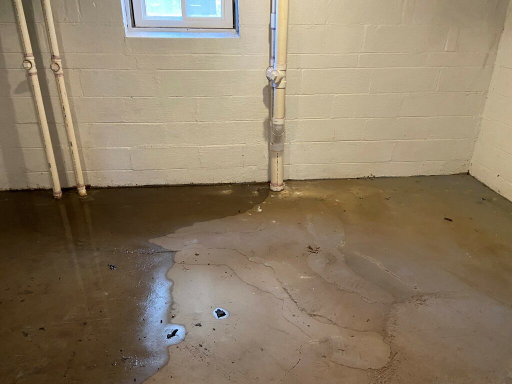 Wet Basement