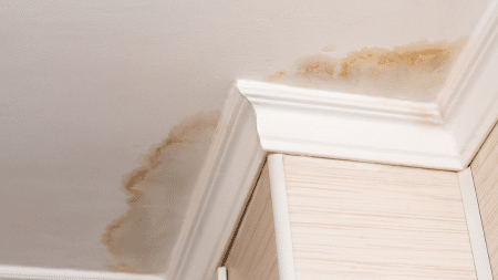 Water leaking in home causing mold