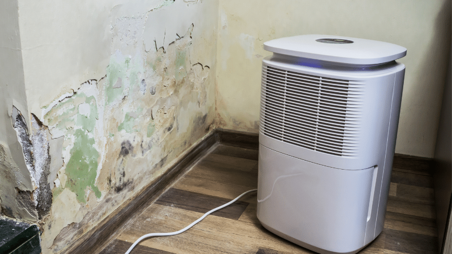 Musty Smell in Basement: What It Means